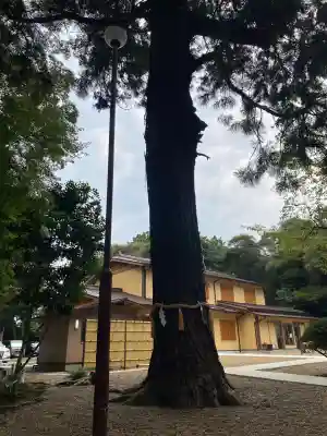 息栖神社(茨城県)