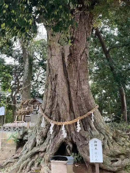 揖夜神社の{uncategorized: "未分類", other: "その他", undefined: "問題あり", building: "その他建物", grave: "お墓", sacred_gate: "鳥居", guardian: "狛犬", statue: "像", buddha: "仏像", history: "歴史", nature: "自然", garden: "庭園", animal: "動物", pagoda: "塔", temizu: "手水舎", mountain_gate: "山門・神門", sanctuary: "本殿・本堂", subordinate: "末社・摂社", art: "芸術", scenery: "景色", jizo: "地蔵", ema: "絵馬", goshuin: "御朱印", omikuji: "おみくじ", items: "授与品その他", amulet: "お守り", goshuincho: "御朱印帳", eats: "食事", festival: "お祭り", votive_dance: "神楽", shichigosan: "七五三参", wedding: "結婚式", experience: "体験その他", initially: "初詣", around: "周辺", anti_infection: "感染症対策"}