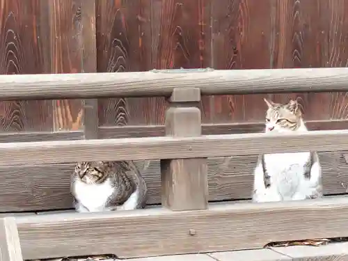 阿邪訶根神社(福島県)