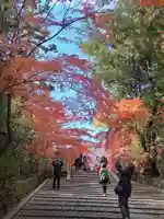 光明寺(粟生光明寺)(京都府)