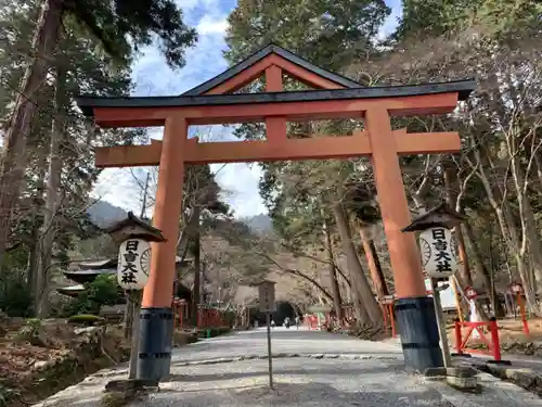 日吉大社の鳥居