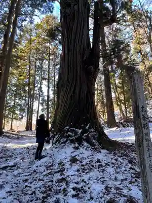 熊野神社(岩手県)