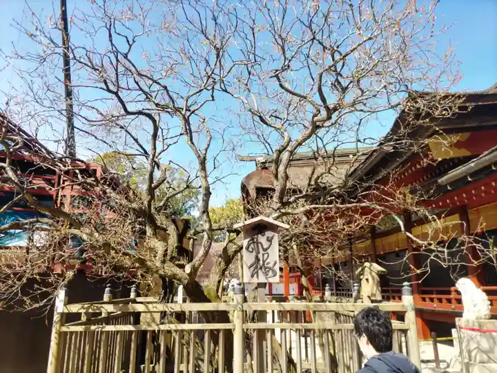 太宰府天満宮の庭園