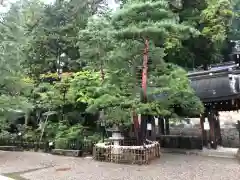 櫻山八幡宮の手水