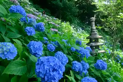 長谷寺のその他建物