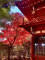 本土寺(千葉県)