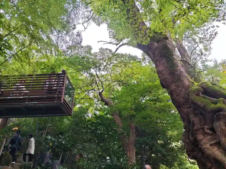 來宮神社(静岡県)