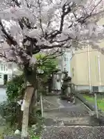 多賀神社(多賀町)の自然