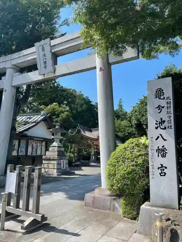 亀ケ池八幡宮の鳥居