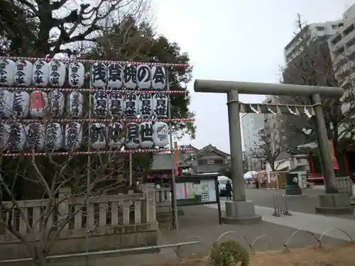 浅草神社のお祭り
