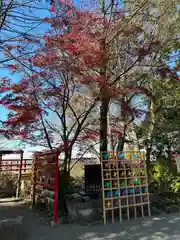 多摩川浅間神社(東京都)