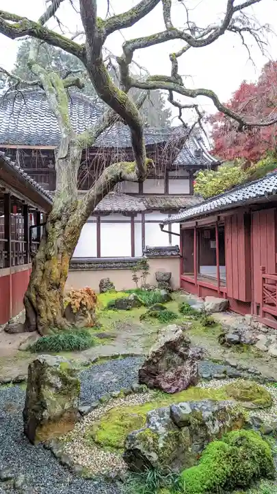 十輪寺(京都府)