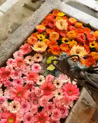 札幌諏訪神社の手水