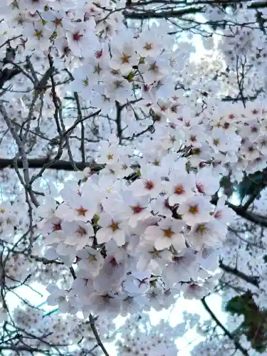 正麟寺の{uncategorized: "未分類", other: "その他", undefined: "問題あり", building: "その他建物", grave: "お墓", sacred_gate: "鳥居", guardian: "狛犬", statue: "像", buddha: "仏像", history: "歴史", nature: "自然", garden: "庭園", animal: "動物", pagoda: "塔", temizu: "手水舎", mountain_gate: "山門・神門", sanctuary: "本殿・本堂", subordinate: "末社・摂社", art: "芸術", scenery: "景色", jizo: "地蔵", ema: "絵馬", goshuin: "御朱印", omikuji: "おみくじ", items: "授与品その他", amulet: "お守り", goshuincho: "御朱印帳", eats: "食事", festival: "お祭り", votive_dance: "神楽", shichigosan: "七五三参", wedding: "結婚式", experience: "体験その他", initially: "初詣", around: "周辺", anti_infection: "感染症対策"}