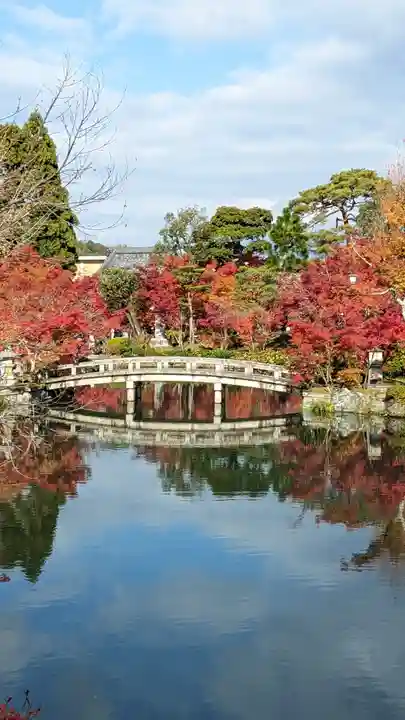 禅林寺(永観堂)(京都府)