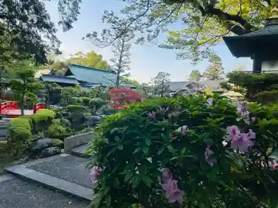 大井神社(静岡県)
