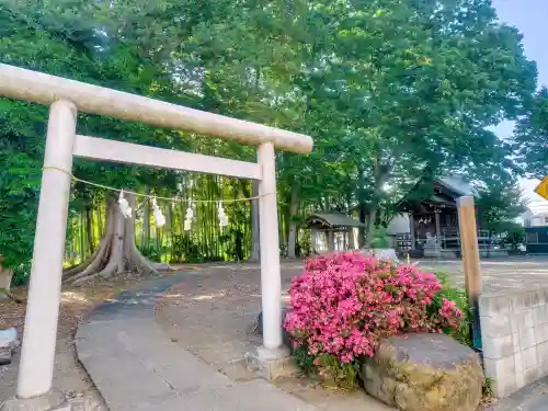 諏訪神社の{uncategorized: "未分類", other: "その他", undefined: "問題あり", building: "その他建物", grave: "お墓", sacred_gate: "鳥居", guardian: "狛犬", statue: "像", buddha: "仏像", history: "歴史", nature: "自然", garden: "庭園", animal: "動物", pagoda: "塔", temizu: "手水舎", mountain_gate: "山門・神門", sanctuary: "本殿・本堂", subordinate: "末社・摂社", art: "芸術", scenery: "景色", jizo: "地蔵", ema: "絵馬", goshuin: "御朱印", omikuji: "おみくじ", items: "授与品その他", amulet: "お守り", goshuincho: "御朱印帳", eats: "食事", festival: "お祭り", votive_dance: "神楽", shichigosan: "七五三参", wedding: "結婚式", experience: "体験その他", initially: "初詣", around: "周辺", anti_infection: "感染症対策"}