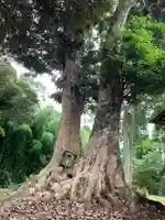 須賀神社(千葉県)