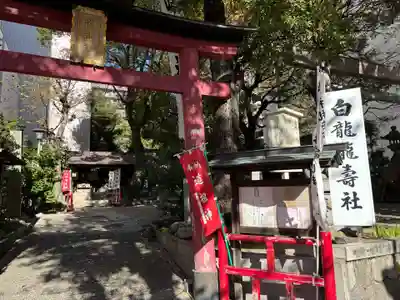 洲嵜神社(愛知県)