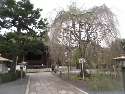 大報恩寺（千本釈迦堂）の自然