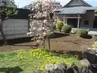 清涼寺(東京都)