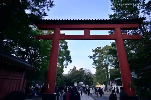 武蔵一宮氷川神社の鳥居