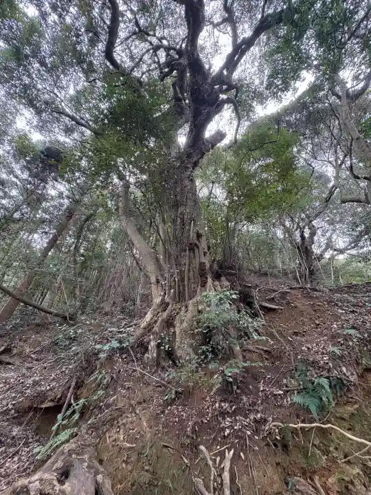 南明寺の{uncategorized: "未分類", other: "その他", undefined: "問題あり", building: "その他建物", grave: "お墓", sacred_gate: "鳥居", guardian: "狛犬", statue: "像", buddha: "仏像", history: "歴史", nature: "自然", garden: "庭園", animal: "動物", pagoda: "塔", temizu: "手水舎", mountain_gate: "山門・神門", sanctuary: "本殿・本堂", subordinate: "末社・摂社", art: "芸術", scenery: "景色", jizo: "地蔵", ema: "絵馬", goshuin: "御朱印", omikuji: "おみくじ", items: "授与品その他", amulet: "お守り", goshuincho: "御朱印帳", eats: "食事", festival: "お祭り", votive_dance: "神楽", shichigosan: "七五三参", wedding: "結婚式", experience: "体験その他", initially: "初詣", around: "周辺", anti_infection: "感染症対策"}