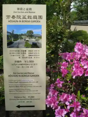 芳春院(京都府)