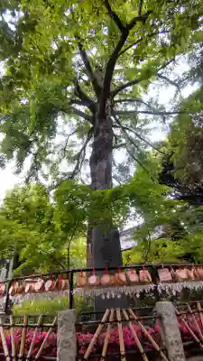 七社神社(東京都)