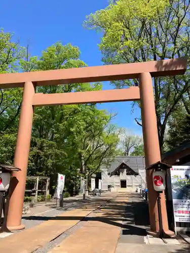 旭川神社の鳥居