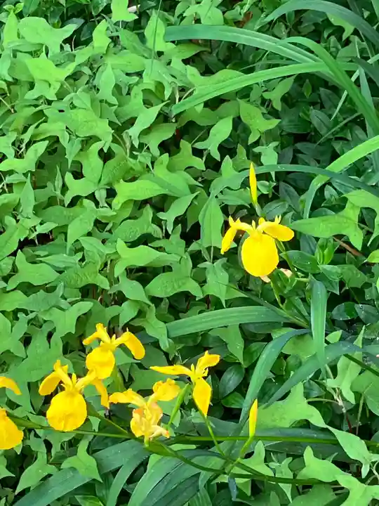 龍福寺(千葉県)