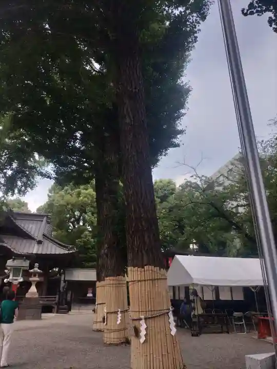 田無神社(東京都)