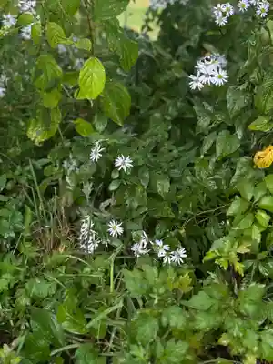 蚊里田八幡宮(長野県)