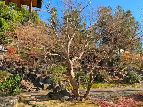 愛宕神社の自然
