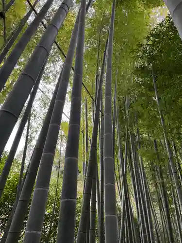 報国寺(神奈川県)