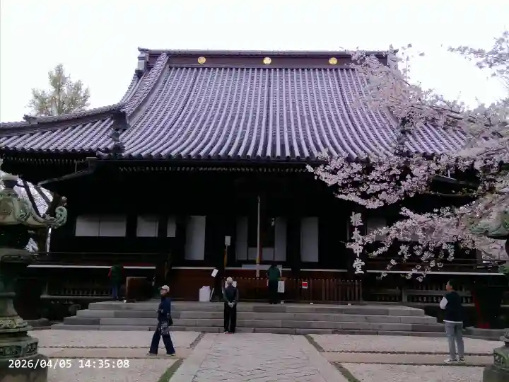 寛永寺(根本中堂)の{uncategorized: "未分類", other: "その他", undefined: "問題あり", building: "その他建物", grave: "お墓", sacred_gate: "鳥居", guardian: "狛犬", statue: "像", buddha: "仏像", history: "歴史", nature: "自然", garden: "庭園", animal: "動物", pagoda: "塔", temizu: "手水舎", mountain_gate: "山門・神門", sanctuary: "本殿・本堂", subordinate: "末社・摂社", art: "芸術", scenery: "景色", jizo: "地蔵", ema: "絵馬", goshuin: "御朱印", omikuji: "おみくじ", items: "授与品その他", amulet: "お守り", goshuincho: "御朱印帳", eats: "食事", festival: "お祭り", votive_dance: "神楽", shichigosan: "七五三参", wedding: "結婚式", experience: "体験その他", initially: "初詣", around: "周辺", anti_infection: "感染症対策"}