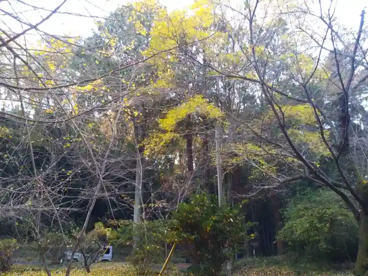 大生山延命院観世音寺の自然