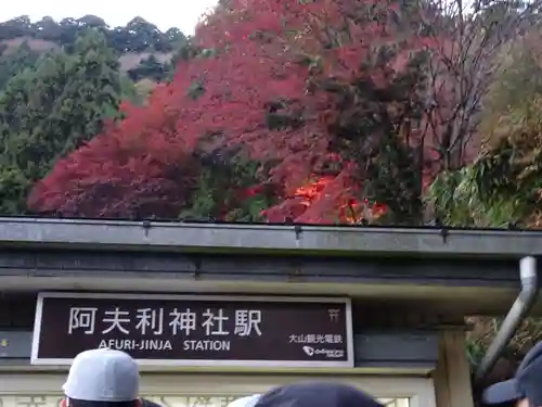 大山阿夫利神社(神奈川県)