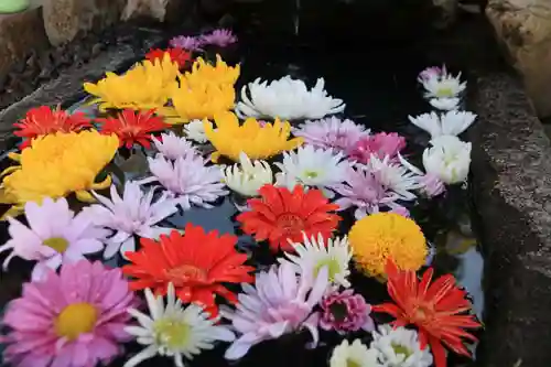 大鏑神社の手水舎