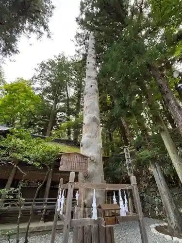 諏訪大社下社春宮(長野県)