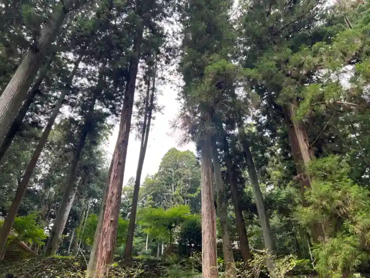 大宮温泉神社(栃木県)