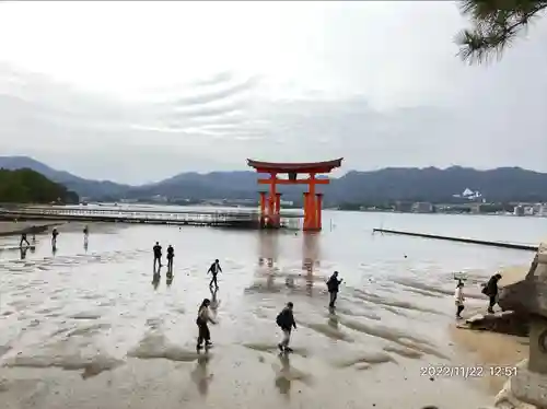 厳島神社(広島県)
