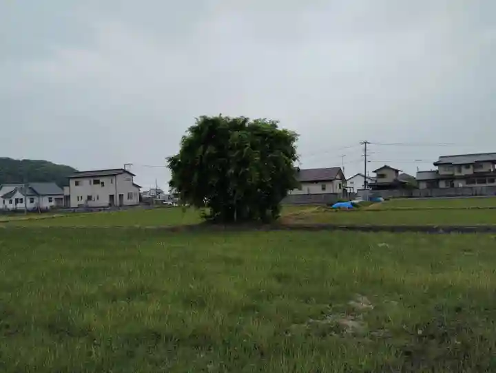 妙玄寺(岡山県)