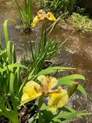 天台宗　長窪山　正覚寺の庭園