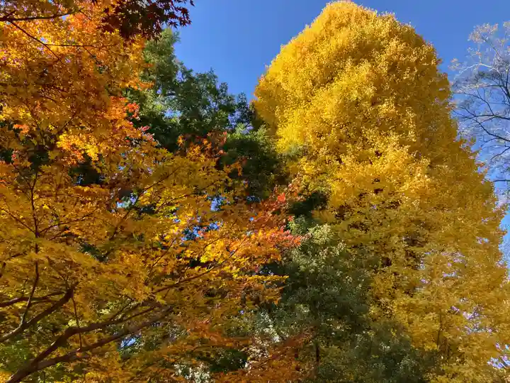 淨眞寺(東京都)