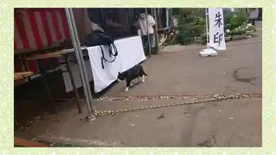 馬場氷川神社(埼玉県)