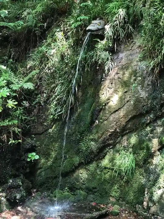 明王院(満願寺別院)の自然