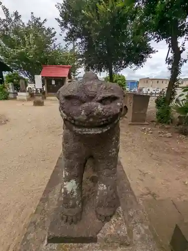 大和田氷川神社の狛犬