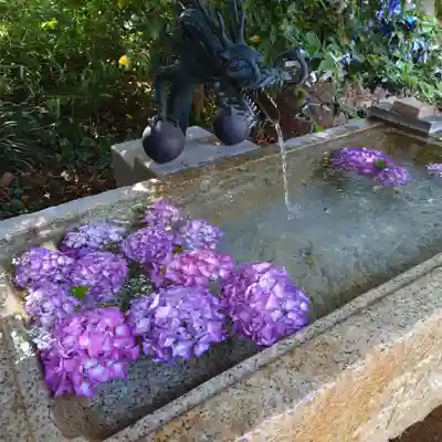 星宮神社の手水舎