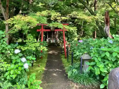 本土寺(千葉県)